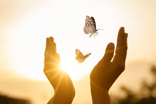 papillonenvol-pageacceuil-prestation-emmalbnaturopathie